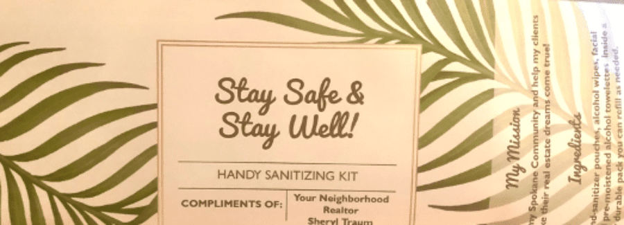 sanitizing kit